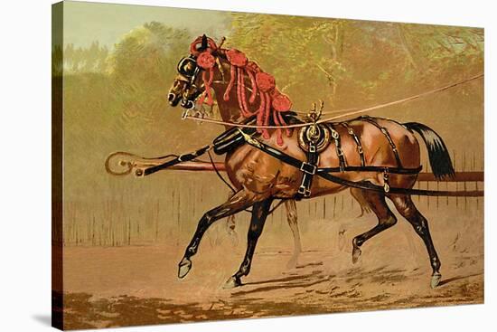 State Carriage Horse-Samuel Sidney-Stretched Canvas