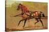 State Carriage Horse-Samuel Sidney-Stretched Canvas