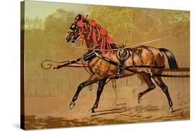 State Carriage Horse-Samuel Sidney-Stretched Canvas
