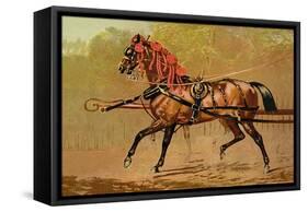 State Carriage Horse-Samuel Sidney-Framed Stretched Canvas