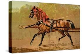 State Carriage Horse-Samuel Sidney-Stretched Canvas