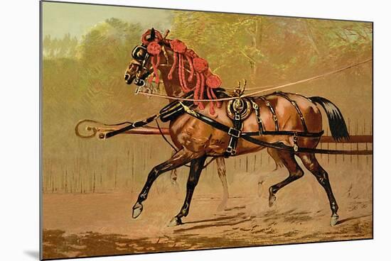 State Carriage Horse-Samuel Sidney-Mounted Premium Giclee Print