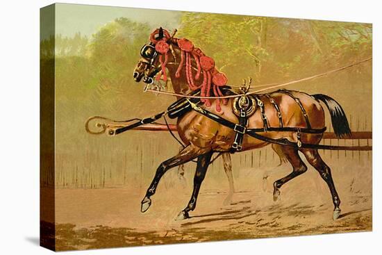 State Carriage Horse-Samuel Sidney-Stretched Canvas