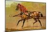 State Carriage Horse-Samuel Sidney-Mounted Premium Giclee Print