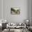 State Dining Room, White House, Washington D.C.-null-Framed Stretched Canvas displayed on a wall