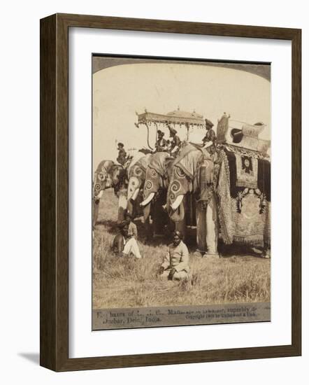 State Elephants of the Maharajah of Gwalior Superbly Decorated for the Delhi Durbar-null-Framed Photographic Print