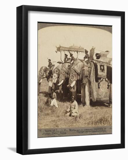 State Elephants of the Maharajah of Gwalior Superbly Decorated for the Delhi Durbar-null-Framed Photographic Print