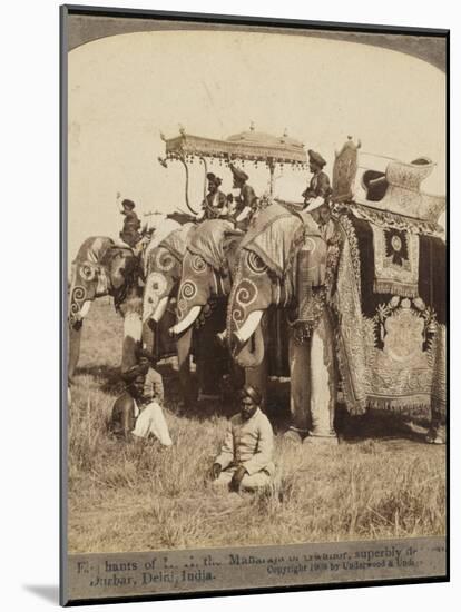 State Elephants of the Maharajah of Gwalior Superbly Decorated for the Delhi Durbar-null-Mounted Photographic Print