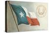 State Flag of Texas-null-Stretched Canvas