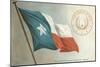 State Flag of Texas-null-Mounted Art Print