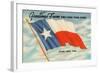 State Flag of Texas-null-Framed Art Print