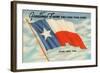 State Flag of Texas-null-Framed Art Print