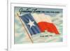 State Flag of Texas-null-Framed Art Print