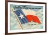 State Flag of Texas-null-Framed Art Print