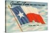 State Flag of Texas-null-Stretched Canvas