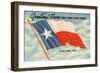 State Flag of Texas-null-Framed Art Print