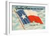 State Flag of Texas-null-Framed Art Print