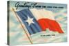 State Flag of Texas-null-Stretched Canvas