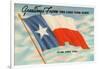 State Flag of Texas-null-Framed Art Print