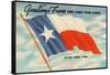 State Flag of Texas-null-Framed Stretched Canvas