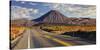 State Highway Number 1, Mount Ngauruhoe, Tongariro National Park, Manawatu-Manganui, North Island-Rainer Mirau-Stretched Canvas