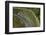 State Highway One at Johnstone's Hill Tunnels, North Auckland, North Island, New Zealand-David Wall-Framed Photographic Print