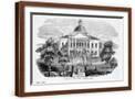 Brown Frame