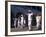 State of Yucatan, Merida, Participants in a Folklore Dance in the Main Square of Merida, Mexico-Paul Harris-Framed Photographic Print