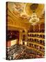 State Opera House (Magyar Allami Operahaz) with Budapest Philharmonic Orchestra, Budapest, Central -Stuart Black-Stretched Canvas