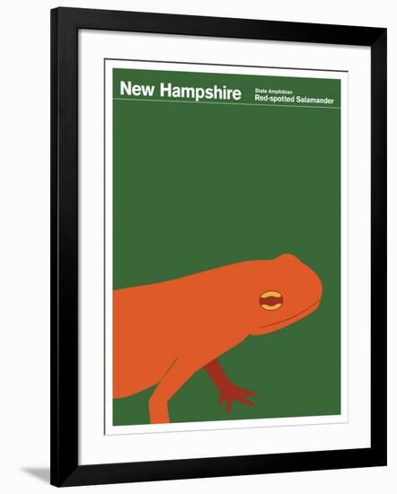 State Poster NH New Hampshire-null-Framed Giclee Print