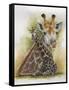 Stateliness-Barbara Keith-Framed Stretched Canvas