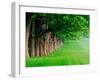 Stately Row of Trees, Louisville, Kentucky, USA-Adam Jones-Framed Photographic Print