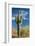 Stately Saguaro-raphoto-Framed Photographic Print