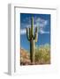 Stately Saguaro-raphoto-Framed Photographic Print