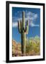 Stately Saguaro-raphoto-Framed Photographic Print