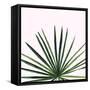 Statement Palms III-Wellington Studio-Framed Stretched Canvas