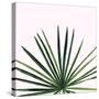 Statement Palms III-Wellington Studio-Stretched Canvas