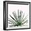 Statement Palms III-Wellington Studio-Framed Art Print