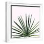 Statement Palms III-Wellington Studio-Framed Art Print