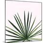 Statement Palms III-Wellington Studio-Mounted Art Print