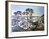 Staten Island and the Narrows, New York, USA, C1834-C1876-Frances Flora Bond Palmer-Framed Giclee Print