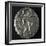 Stater of Paestum Depicting Poseidon, Recto, Ancient Greek Coins BC-null-Framed Giclee Print