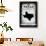 States Brewing Co Texas-LightBoxJournal-Framed Giclee Print displayed on a wall