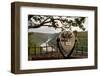 Stationary Viewer Facing the New River-Paul Souders-Framed Photographic Print