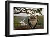 Stationary Viewer Facing the New River-Paul Souders-Framed Photographic Print