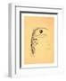 Stationery Illustrated with a Stalk of Wheat Wrapped in a Banner Marked Quo Non Ascendamus 1879 and-null-Framed Premium Giclee Print