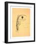 Stationery Illustrated with a Stalk of Wheat Wrapped in a Banner Marked Quo Non Ascendamus 1879 and-null-Framed Giclee Print