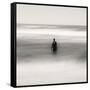 Statue Alone on Beach-Craig Roberts-Framed Stretched Canvas