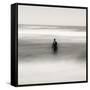 Statue Alone on Beach-Craig Roberts-Framed Stretched Canvas