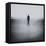 Statue Alone on Beach-Craig Roberts-Framed Stretched Canvas